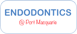 Endodontics @ Port Macquarie