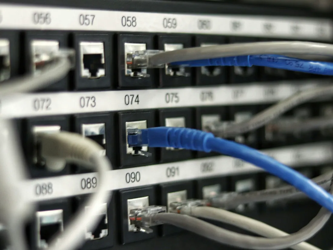 Network cables plugged into a numbered patch panel